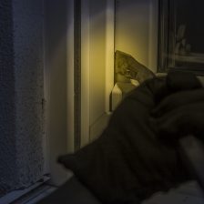 Are Burglars Likely To Come Back?